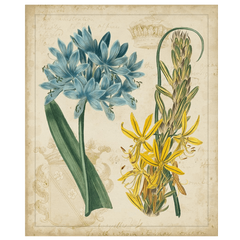 Botanical Repertoire II