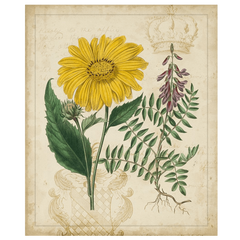 Botanical Repertoire III
