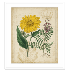 Botanical Repertoire III