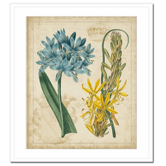 Botanical Repertoire II