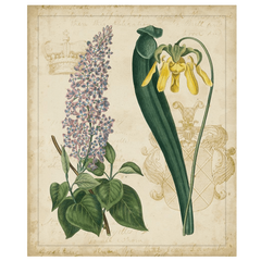 Botanical Repertoire IV