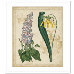 Botanical Repertoire IV