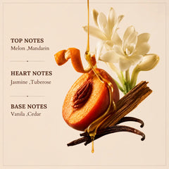 Zeph - Bold & Sophisticated Perfume Room Spray - Fragrance Notes Graphic with Citrus Fruit, White Flowers, Vanilla Pods & Cedar Wood