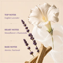 Dream - Calming & Relaxing Perfume Room Spray - Fragrance Notes Graphic with White Moonflower, Lavender Sprigs & Wood
