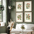 Midsummer Floral Designer Art Set – 4-Piece Wall Art Prints