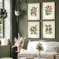 Midsummer Floral framed botanical art prints on a green wall