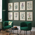 Antique Botanica Wall Art Set – 8 Art Prints