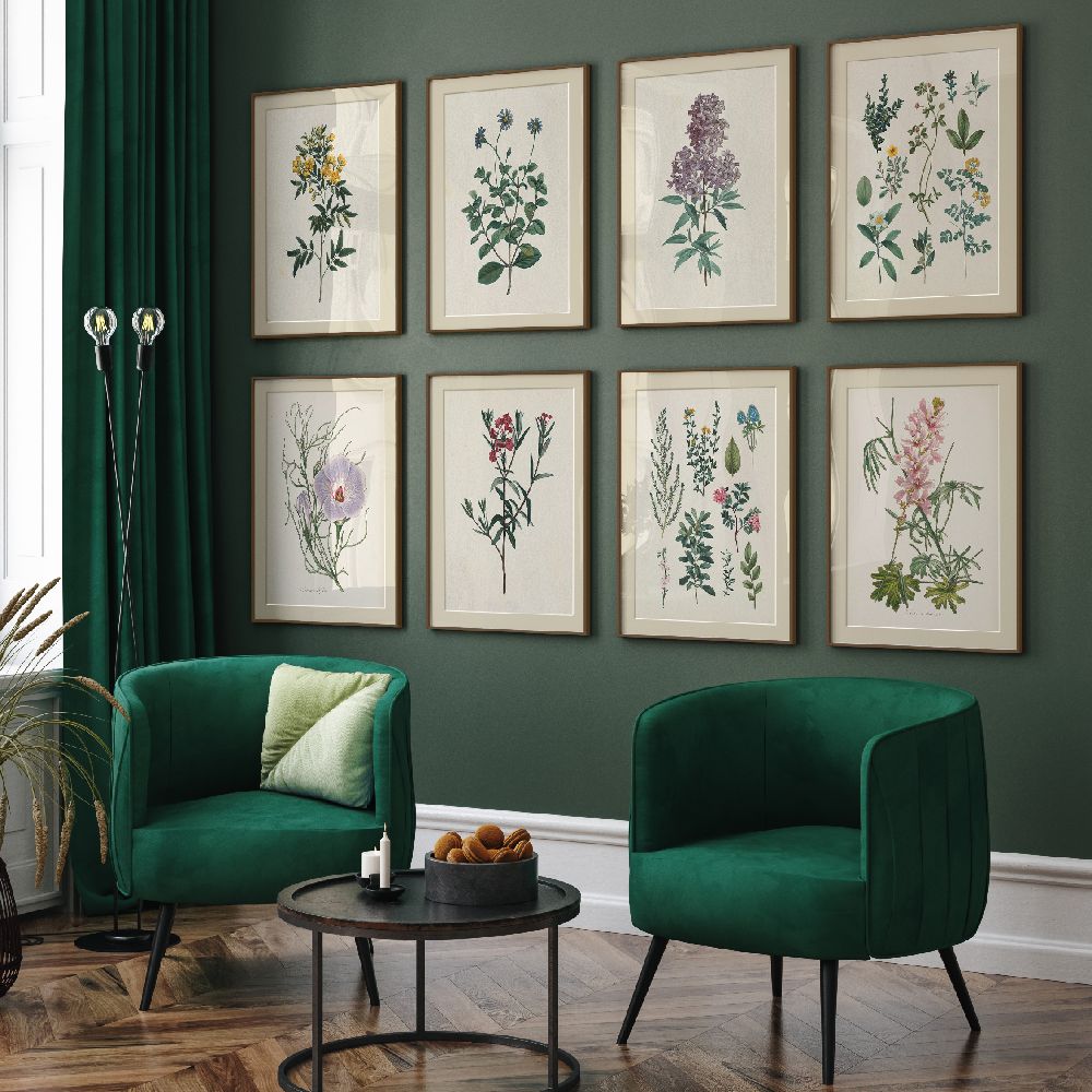 8 Antique Botanica Designer Wall Art prints with two green armchairs in a room
