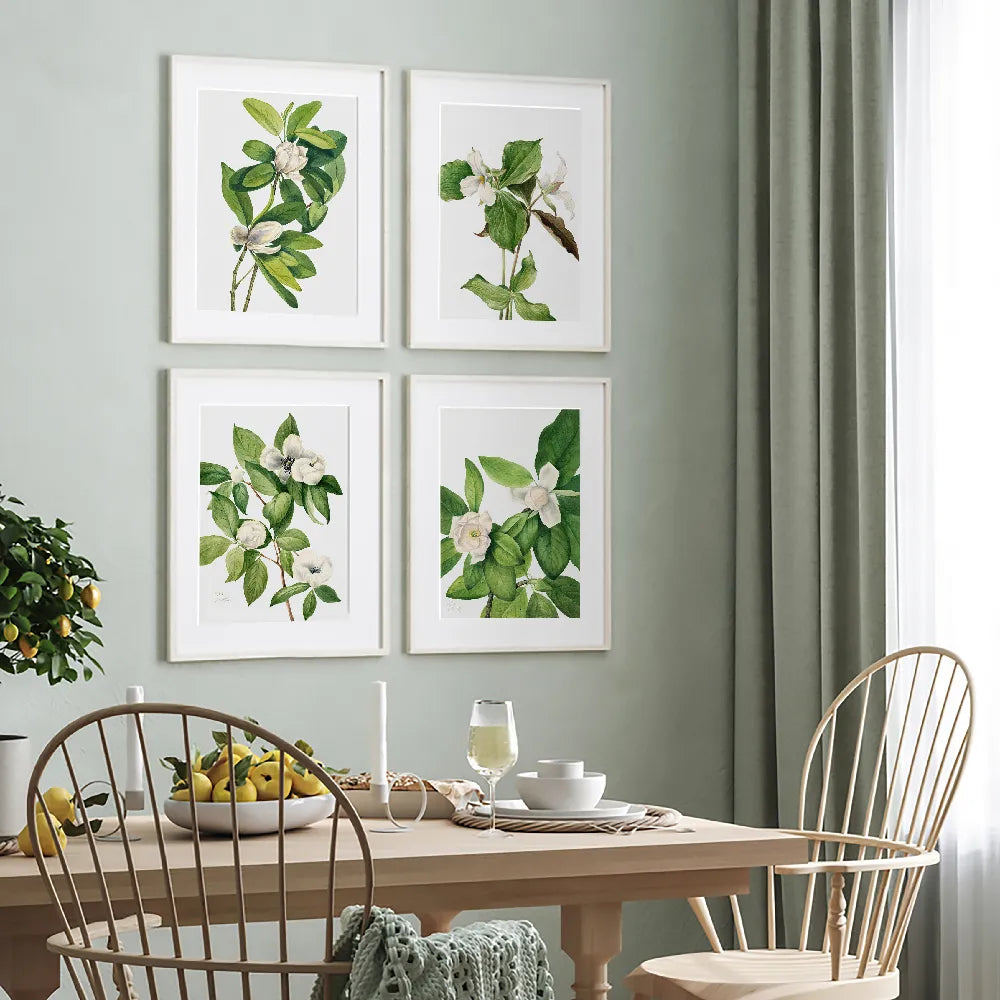 4 framed botanical art prints on the wall