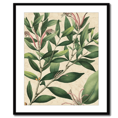 Botanic Beauty II