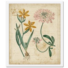 Botanical Repertoire I