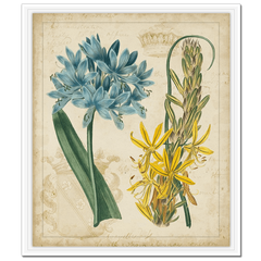 Botanical Repertoire II