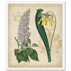 Botanical Repertoire IV