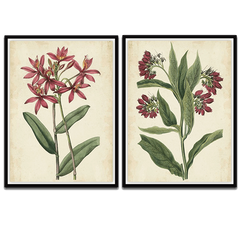 Two Decorative botanical art prints of pink flowers and green leaves on a beige background.