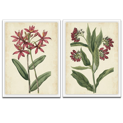 Botanical display art prints of pink flowers and green leaves.