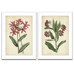 Two botanical art prints of pink flowers and green leaves on a beige background.