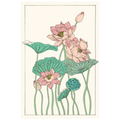 Botanical Gloriosa Lotus I