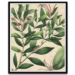 Botanic Beauty II