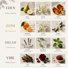 Room Perfume Discovery Set: The Mood - Scent Guide for Eden, Zeph, Dream & Vibe with Key Ingredient Photos