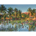 Paddy Fields of Humpy - Landscape Art Print
