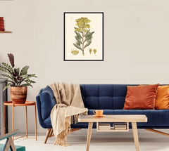 Shop Art  Shop Artwork  Shop Tropical Art  Shop Wall Art  Shop Tropical Art Prints  Shop Framed Artwork  Shop Painting  Shop Tropical Paintings  Shop Wall Decor  Shop Decorative Art  Nature Art Prints  Multicolor Wall Art  Colorful Artwork  Floral Art