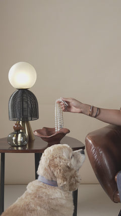 Video of  Chirp Glass Jar & Kai Bowl gift set placed on a side table