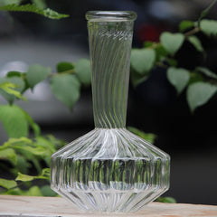 A clear hand-blown glass decanter with a geometric pattern, placed on a wooden surface with green foliage in the background.