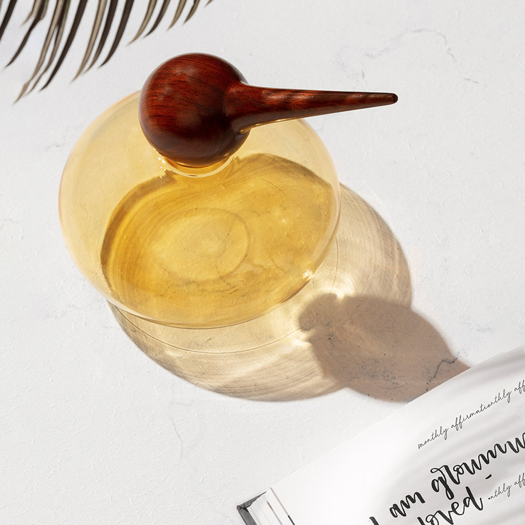 Glass jar with a bird shaped wooden cap on a light surface