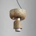 Metamorphosis Pendant Lamp H-006AD