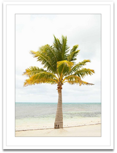 Shop Art \ Shop Artwork \ Shop Wall Art \ Shop Nature Art \ Shop Art Prints \ Shop Framed Artwork \ Shop Painting \ Shop Modern Nature Art \ Shop Black and White Art \ Shop Wall Decor \ Decorative Art \ Multicolour Wall Art \ Wildlife Art \ Nature Inspired Art