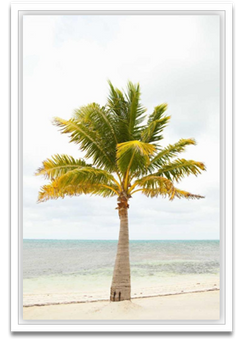 Shop Art \ Shop Artwork \ Shop Wall Art \ Shop Nature Art \ Shop Art Prints \ Shop Framed Artwork \ Shop Painting \ Shop Modern Nature Art \ Shop Black and White Art \ Shop Wall Decor \ Decorative Art \ Multicolour Wall Art \ Wildlife Art \ Nature Inspired Art