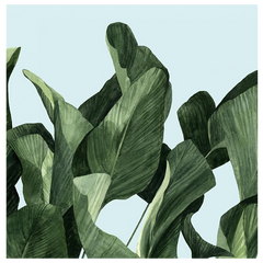 Shop Art \ Shop Artwork \ Shop Tropical Art \ Shop Wall Art \ Shop Tropical Art Prints \ Shop Framed Artwork \ Shop Painting \ Shop Tropical Paintings \ Shop Wall Decor \ Shop Decorative Art \ Nature Art Prints \ Multicolor Wall Art \ Colorful Artwork \ Floral Art