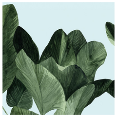 Shop Art \ Shop Artwork \ Shop Tropical Art \ Shop Wall Art \ Shop Tropical Art Prints \ Shop Framed Artwork \ Shop Painting \ Shop Tropical Paintings \ Shop Wall Decor \ Shop Decorative Art \ Nature Art Prints \ Multicolor Wall Art \ Colorful Artwork \ Floral Art
