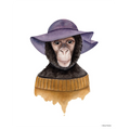 Cozy Chimp