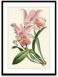 Shop Art \ Shop Artwork \ Shop Wall Art \ Shop Nature Art \ Shop Botanical Art Prints \ Shop Framed Artwork \ Shop Painting \ Shop Modern Nature Artwork \ Shop Nature Paintings \ Shop Wall Decor \ Decorative Art \ Nature Art Prints \ Multicolor Wall Art