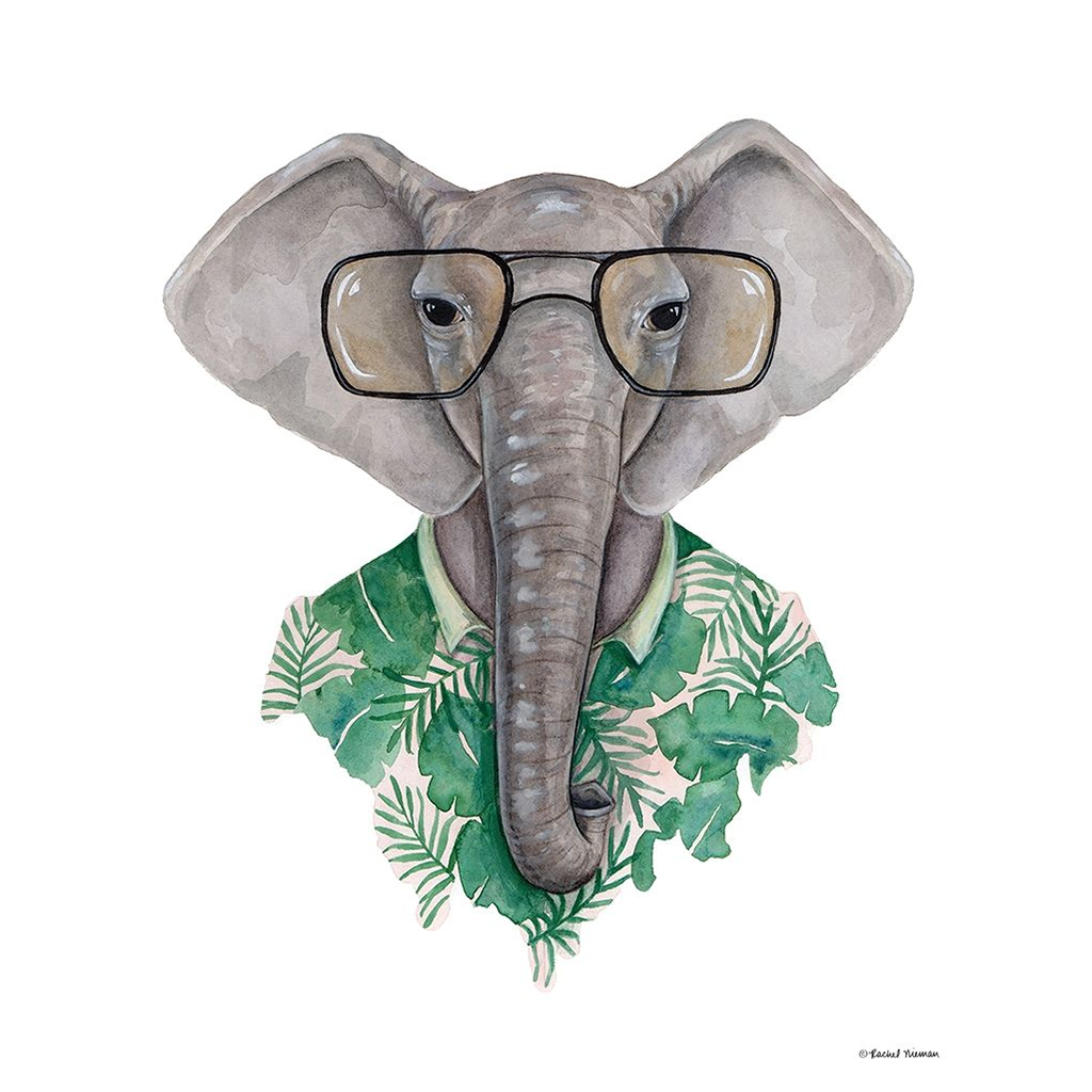 Living　in　The　Elephant　–　Glasses　Eye　Influence