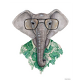Elephant in Eye Glasses