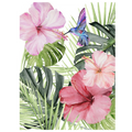 Hibiscus and Humming Bird
