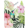Hibiscus and Humming Bird II