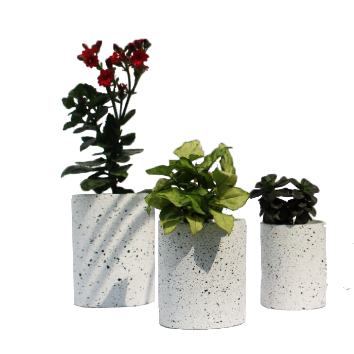 Shop Decor \ Shop Planter Set \ Set of 3 \ Shop Home Decor \ Shop Table Planter Set \ Small Planters \ Tabletop Planters \ Shop Indoor Planter \ Decorative Gifting Planters \ Shop Mini Planter \ Shop Desk Planter