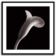 Shop Art \ Shop Artwork \ Shop Wall Art \ Shop Black and White Art \ Shop Art Prints \ Shop Framed Artwork \ Shop Painting \ Shop Modern Art \ Shop Black and white Paintings \ Shop Wall Decor \ Decorative Art \ Black and White Portrait