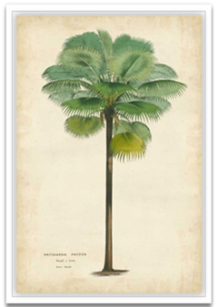 Shop Art \ Shop Artwork \ Shop Tropical Art \ Shop Wall Art \ Shop Tropical Art Prints \ Shop Framed Artwork \ Shop Painting \ Shop Tropical Paintings \ Shop Wall Decor \ Shop Decorative Art \ Nature Art Prints \ Multicolor Wall Art \ Colorful Artwork \ Floral Art