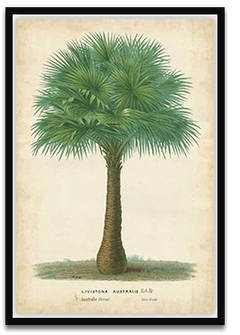 Shop Art \ Shop Artwork \ Shop Tropical Art \ Shop Wall Art \ Shop Tropical Art Prints \ Shop Framed Artwork \ Shop Painting \ Shop Tropical Paintings \ Shop Wall Decor \ Shop Decorative Art \ Nature Art Prints \ Multicolor Wall Art \ Colorful Artwork \ Floral Art