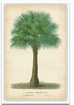 Shop Art \ Shop Artwork \ Shop Tropical Art \ Shop Wall Art \ Shop Tropical Art Prints \ Shop Framed Artwork \ Shop Painting \ Shop Tropical Paintings \ Shop Wall Decor \ Shop Decorative Art \ Nature Art Prints \ Multicolor Wall Art \ Colorful Artwork \ Floral Art