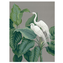 Shop Art \ Shop Artwork \ Shop Wall Art \ Shop Nature Art \ Shop Botanical Art Prints \ Shop Framed Artwork \ Shop Painting \ Shop Modern Nature Artwork \ Shop Nature Paintings \ Shop Wall Decor \ Decorative Art \ Nature Art Prints \ Multicolor Wall Art