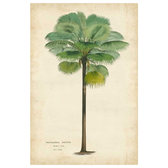 Shop Art \ Shop Artwork \ Shop Tropical Art \ Shop Wall Art \ Shop Tropical Art Prints \ Shop Framed Artwork \ Shop Painting \ Shop Tropical Paintings \ Shop Wall Decor \ Shop Decorative Art \ Nature Art Prints \ Multicolor Wall Art \ Colorful Artwork \ Floral Art
