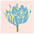 Soho Tulip I