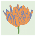 Soho Tulip III