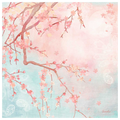 Sweet Cherry Blossoms III