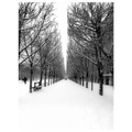 The Tuileries Garden Under the Snow Paris
